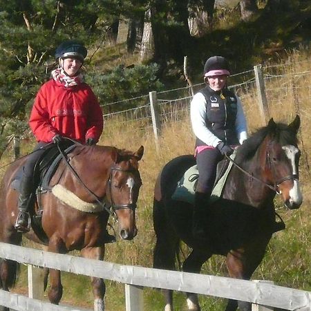 Tigh An Each B&B & Laggan Glamping Newtonmore Extérieur photo