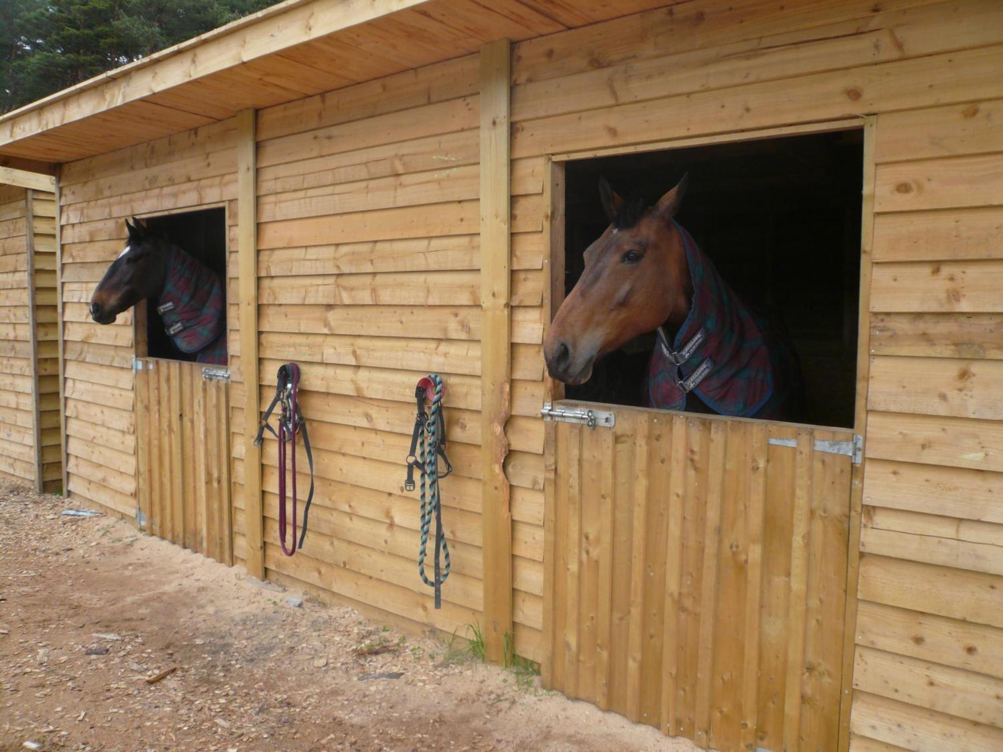 Tigh An Each B&B & Laggan Glamping Newtonmore Extérieur photo